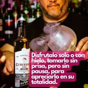 Gin Botella Dry Enebro Circense Premium De Cereal Gin Tonic