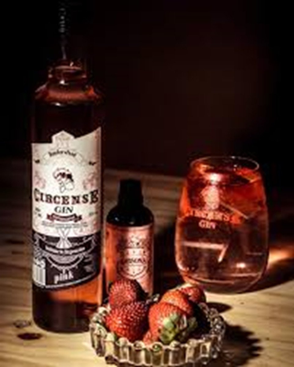 Gin Pink Frutos Rojos Saborizado Circense Botella Premium